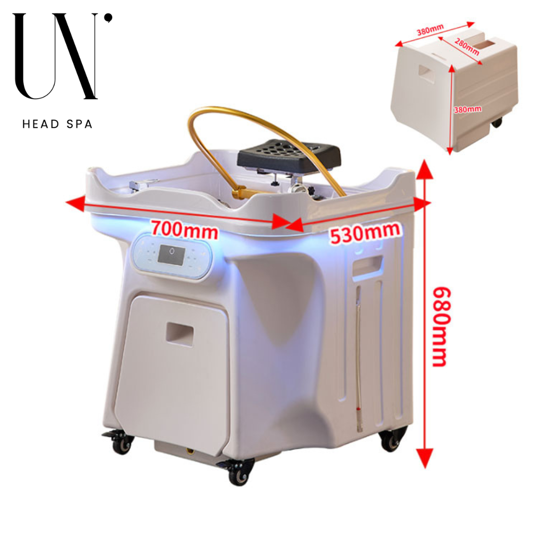 3 Bac Head Spa 2.0 (NOUVEAU)